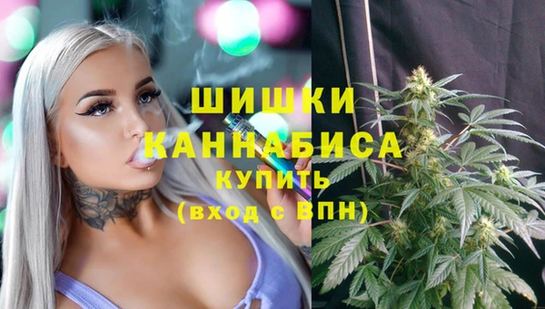 спиды Зеленокумск