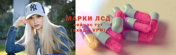 спиды Зеленокумск