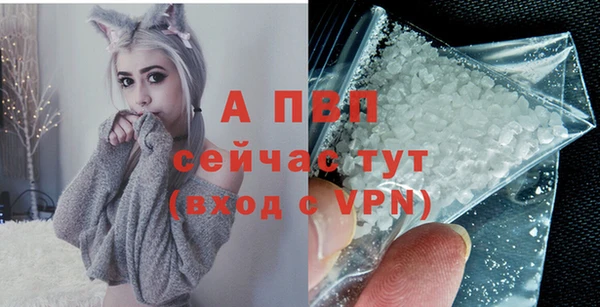 спиды Зеленокумск