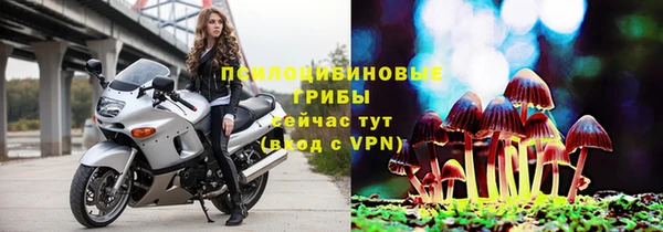 герыч Зерноград