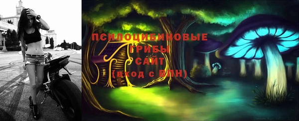 спиды Зеленокумск