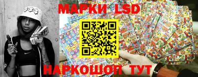 мдпв Гусев