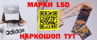 мдпв Гусев