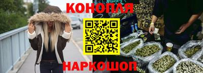 мдпв Гусев