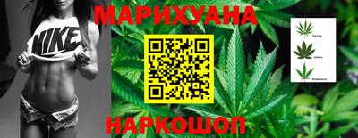 мдпв Гусев
