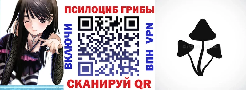 Псилоцибиновые грибы Psilocybe  даркнет какой сайт  Славгород  где купить наркотик 