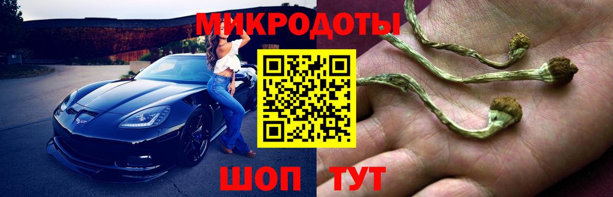 Псилоцибиновые грибы GOLDEN TEACHER  Галлюциногенные грибы Psilocybine cubensis  Славгород 