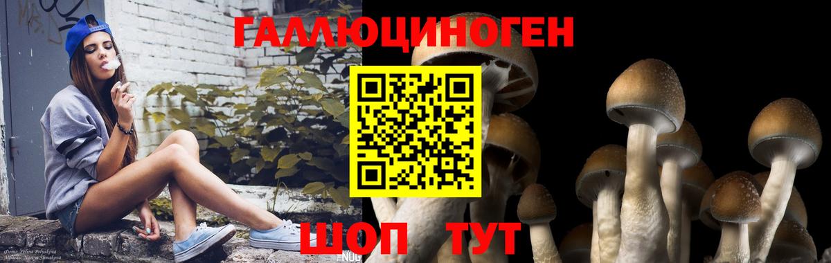 Славгород  Галлюциногенные грибы ЛСД  Вход с VPN  Псилоцибиновые грибы ЛСД 